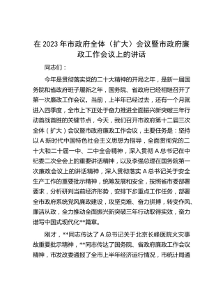 在2023年市政府全体（扩大）会议暨廉政工作会议上的讲话