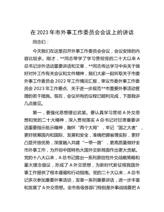 在2023年市外事工作委员会会议上的讲话