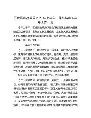 区发改系统2023年上半年工作总结和下半年工作计划