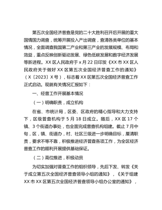 区第五次经济普查工作进展情况汇报