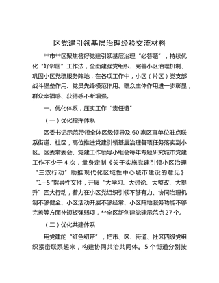 区党建引领基层治理经验交流
