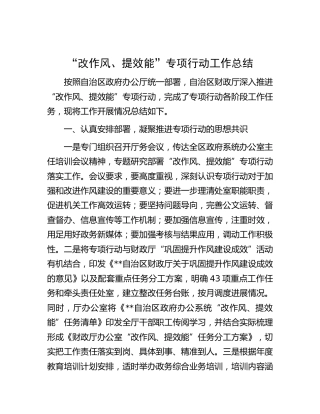 “改作风、提效能”专项行动工作总结（财政）