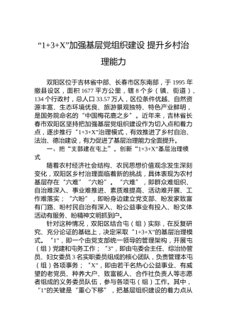 “1+3+X”加强基层党组织建设 提升乡村治理能力