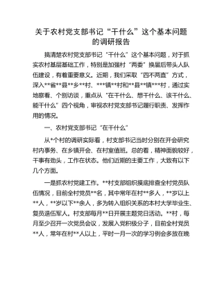 农村党支部书记“干什么”这个基本问题的调研报告