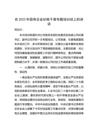 在2023年国企纪检干部专题培训班上的讲话（公司7600字）