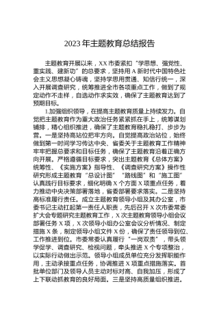 2023年主题教育总结报告（市3000字）
