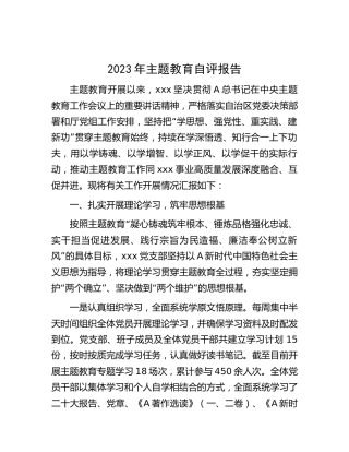2023年主题教育自评总结报告2700字