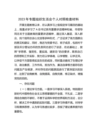 2023年主题教育专题组织生活会个人对照检查