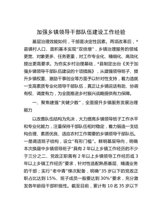 加强乡镇领导干部队伍建设工作经验