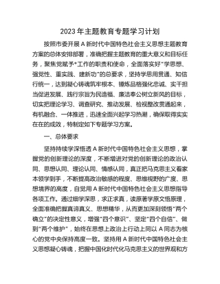 2023年主题教育专题学习计划4900字（方案）