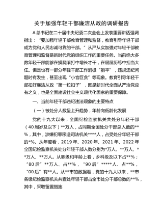 加强年轻干部廉洁从政的调研报告