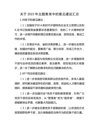 2023年主题教育意见建议汇总