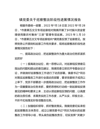 乡镇巡察整改阶段性进展情况总结报告1万字