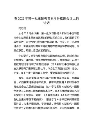 在2023年第一批主题教育8月份推进会议上的讲话