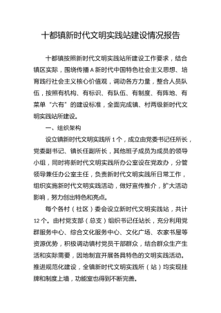 乡镇新时代文明实践站建设情况报告