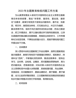 2023年主题教育检视问题工作方案2100字