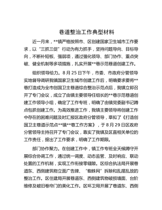 乡镇巷道整治工作典型材料