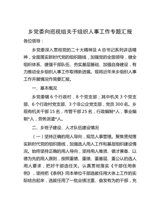 乡镇向巡视组关于组织人事工作专题汇报（巡察）