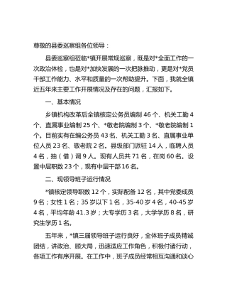乡镇向巡察组关于近五年来工作情况的汇报（11000字）