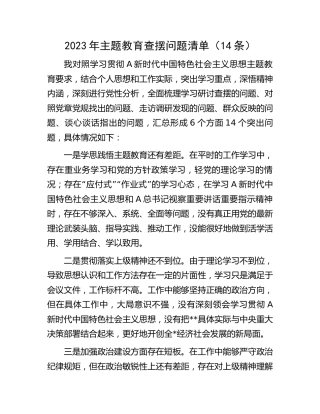 2023年主题教育查摆问题清单14条