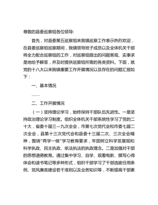 乡镇向巡察组工作汇报6300字（十八大以来总结自查）