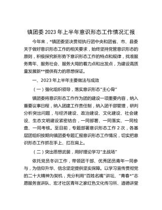 乡镇团委2023年上半年意识形态工作汇报