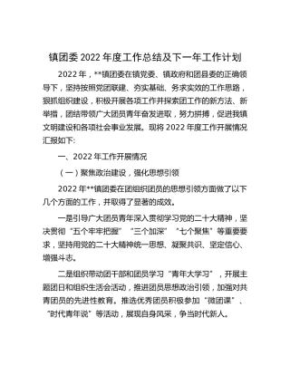 乡镇团委2022年度工作总结及下一年工作计划