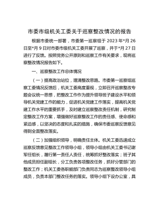 机关工委巡察整改情况报告（8300字总结）