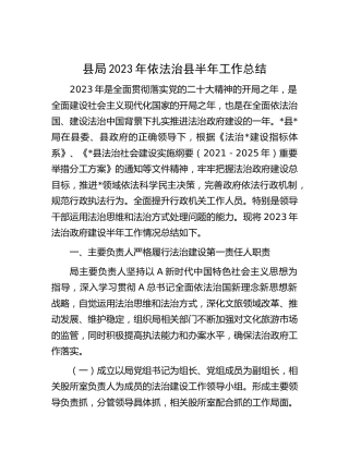 2023年依法治县半年工作总结