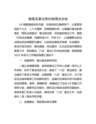 乡镇落实普法责任制情况总结