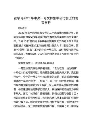 2023年一号文件集中研讨会上的研讨发言