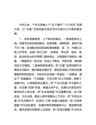 在“五星”支部创建工作座谈会上的发言（总结汇报）
