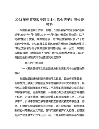 2023年巡察整改专题民主生活会班子对照检查（公司3500字）