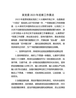 2023年巡察工作要点