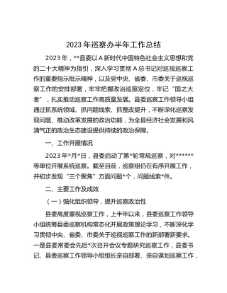 2023年巡察办上半年工作总结