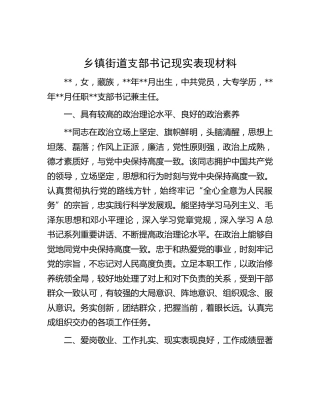 乡镇街道支部书记现实表现材料
