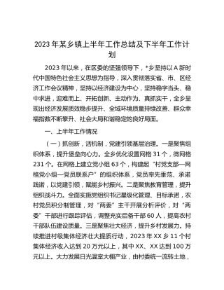 2023年乡镇上半年工作总结汇报