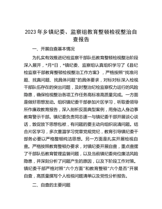 乡镇纪委、监察组教育整顿检视整治自查报告