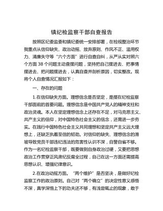 乡镇纪检监察干部自查报告
