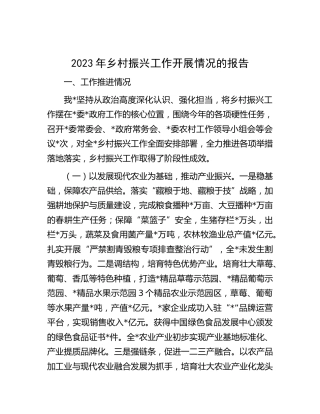 2023年乡村振兴工作开展情况的总结报告
