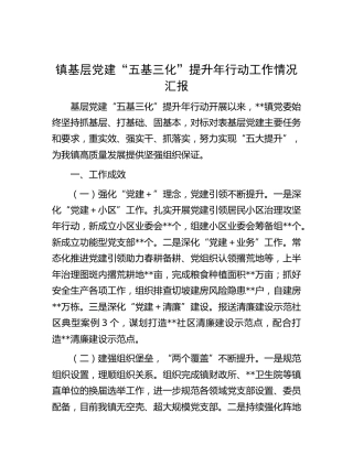 乡镇基层党建“五基三化”提升年行动工作情况汇报