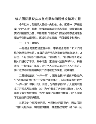 乡镇巩固拓展脱贫攻坚成果和问题整改情况总结汇报
