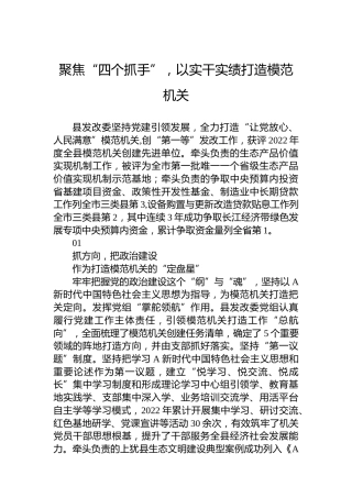聚焦“四个抓手”，以实干实绩打造模范机关(20230628)