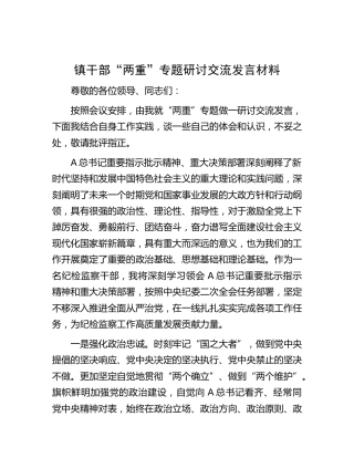乡镇干部“两重”（重要指示批示精神、重大决策部署）专题研讨交流发言（结合教育整顿）