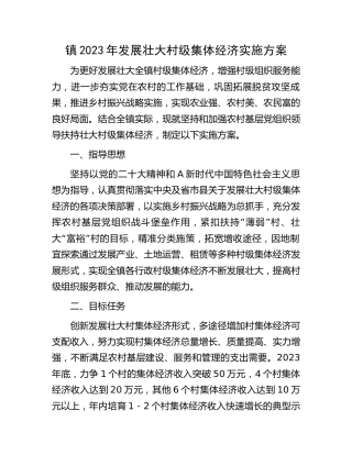 乡镇发展壮大村级集体经济实施方案
