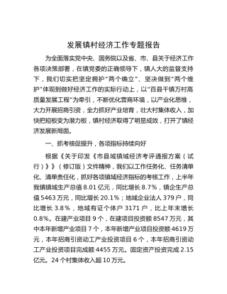 乡镇发展镇村经济工作专题报告（4700字总结）