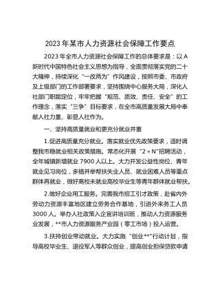 2023年市人力资源社会保障（人社）工作要点
