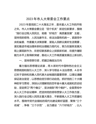 2023年市人大工作要点