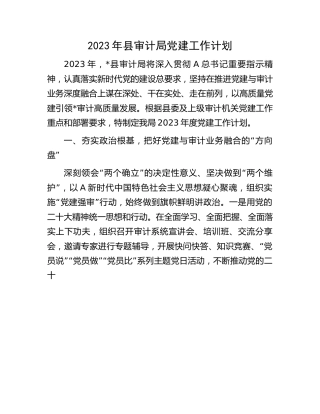 2023年审计系统党建工作计划1800字