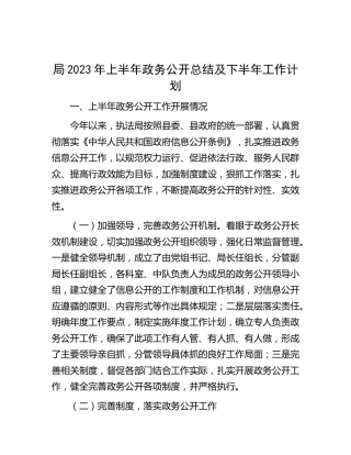 2023年上半年政务公开总结及下半年工作计划